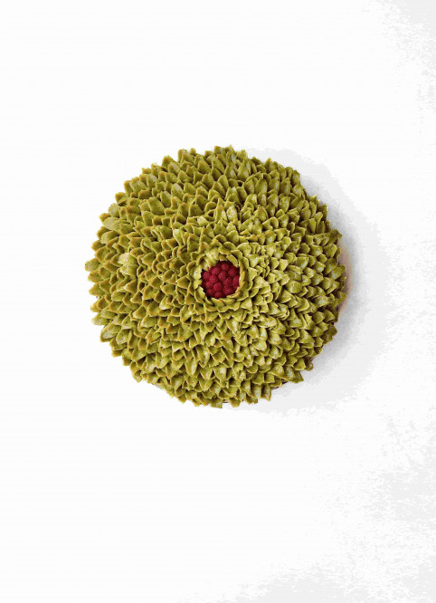 Raspberry Pistachio Flower