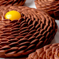 Mandarin Chocolate Flower