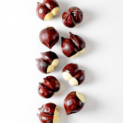 Mont Blanc Chesnut