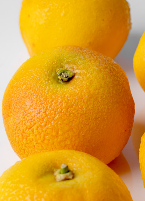 Grapefruit
