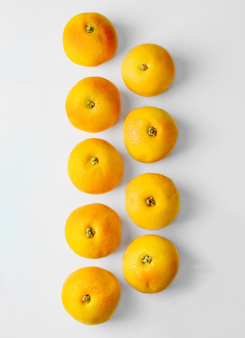 Grapefruit