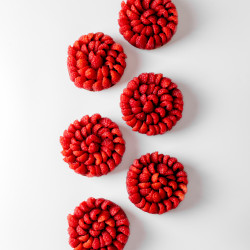 Raspberry Tart