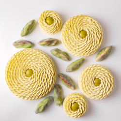 Pistachio XXL