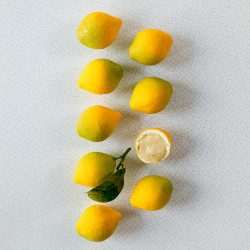 Vegan Lemon