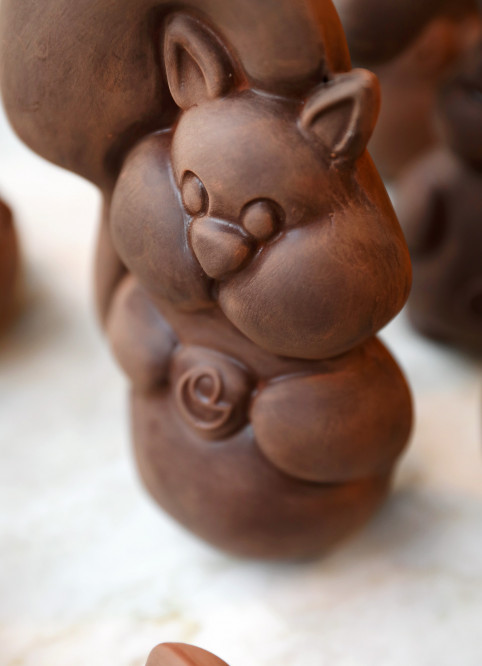 Squirrel