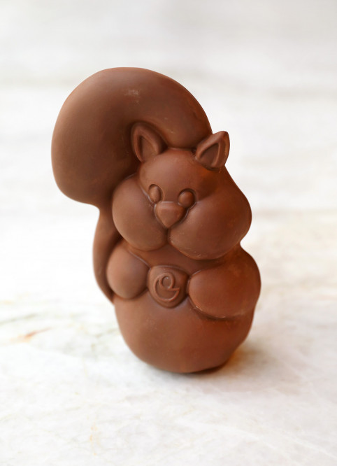 Squirrel