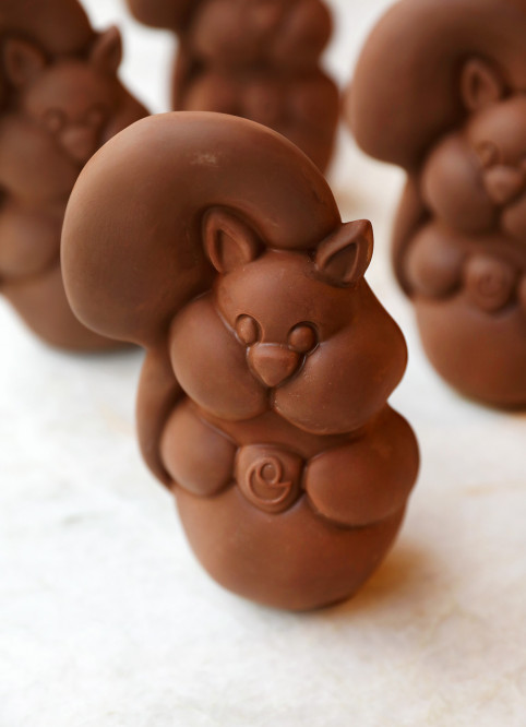 Squirrel