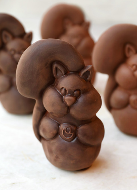 Squirrel