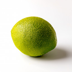 Lime