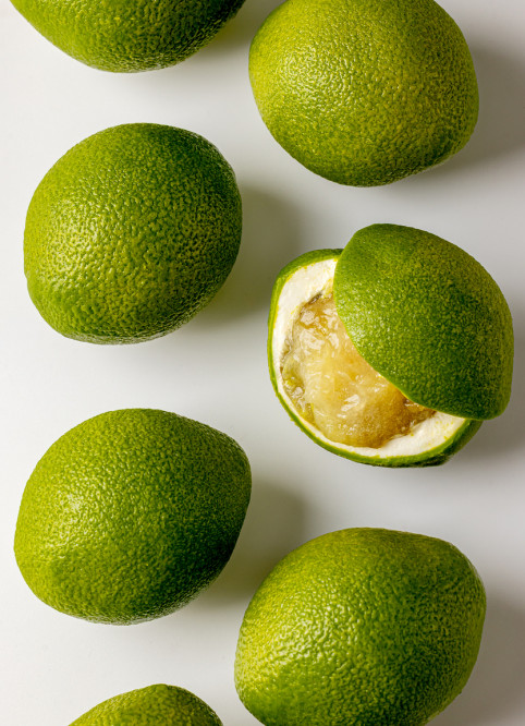 Lime