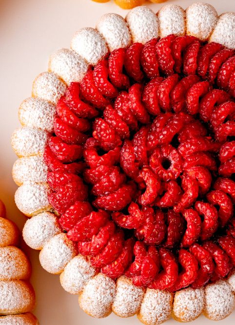 Raspberry Charlotte Trompe l'Œil