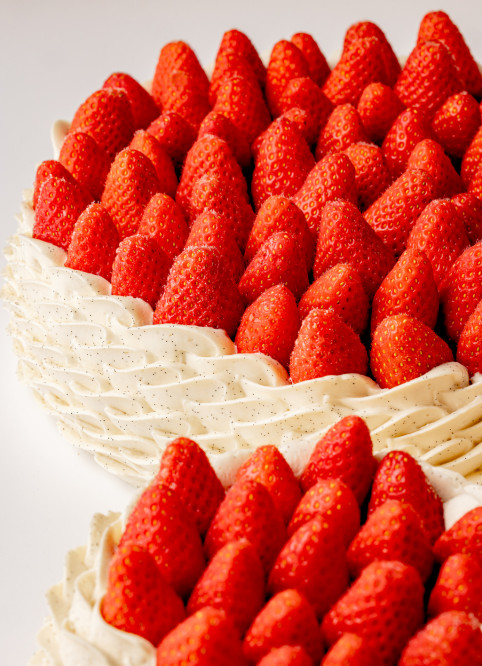 Fraisier