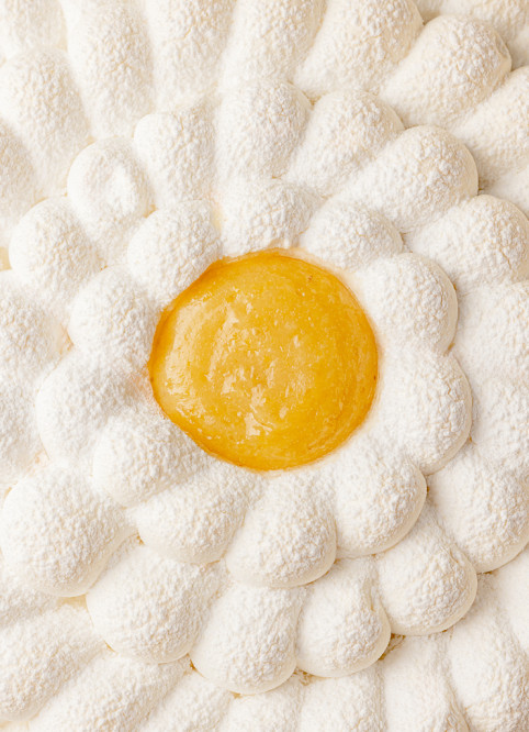 Lemon Meringue Tart