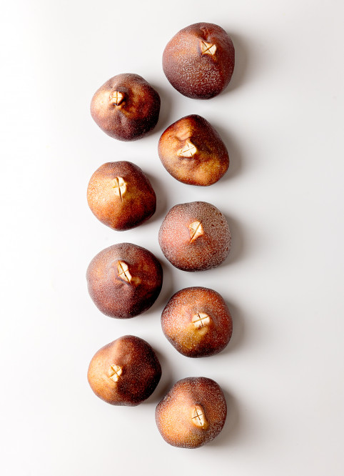 Fig