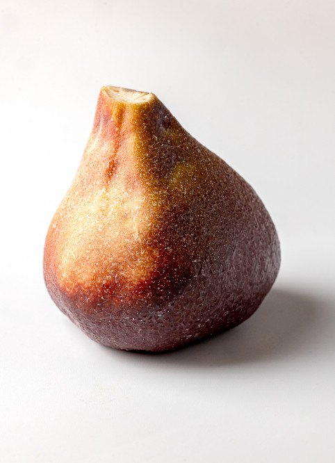 Fig