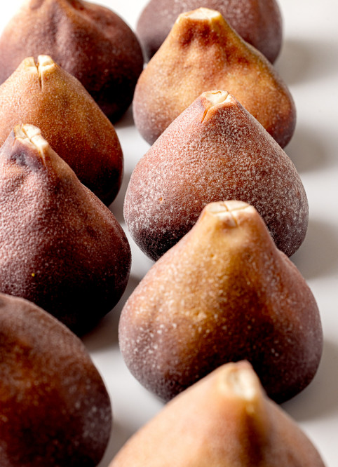 Fig