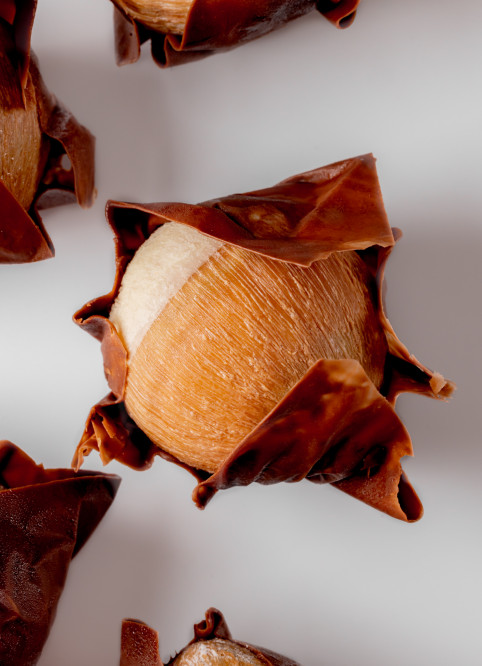 Hyde Park Hazelnut