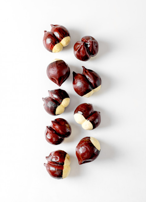 Chestnut Blackcurrant