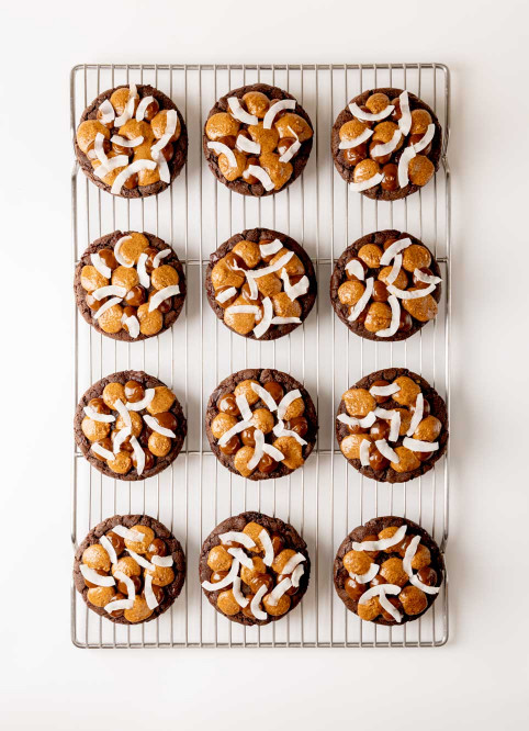 Coconut Chocolate Cookie