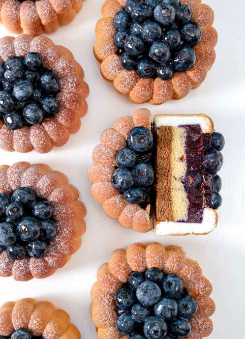 Blueberry Charlotte