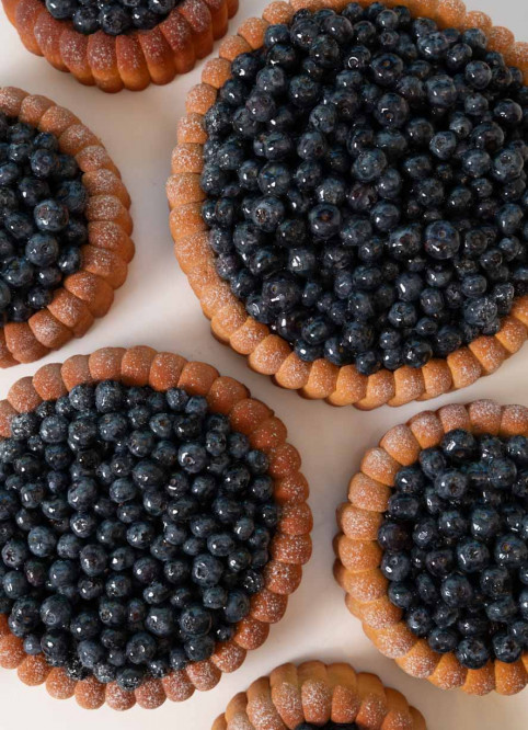 Blueberry Charlotte