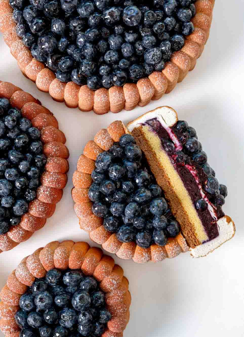 Blueberry Charlotte
