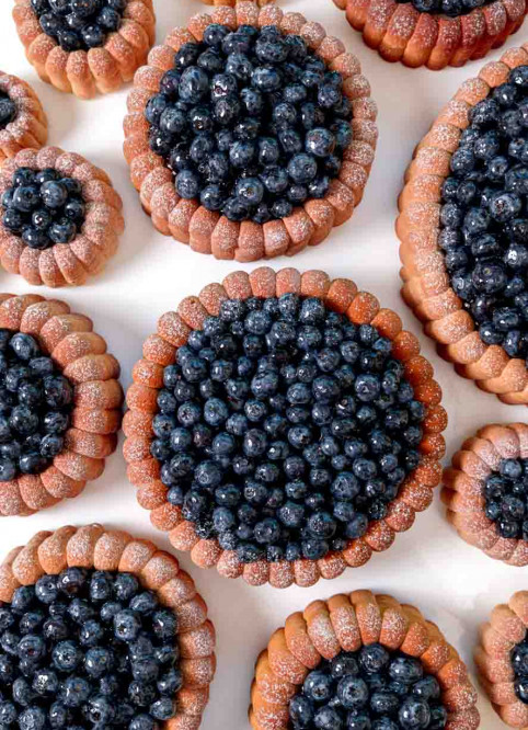 Blueberry Charlotte