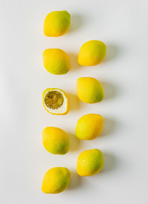 Vegan Lemon