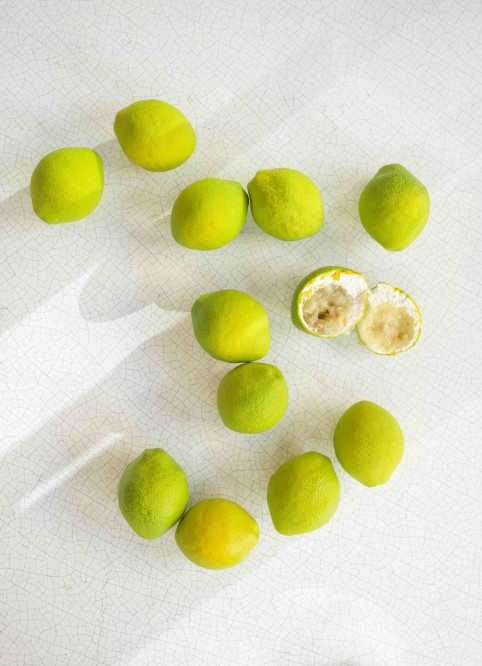 Citron Vert