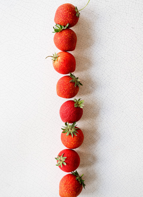 Fraise Mélisse