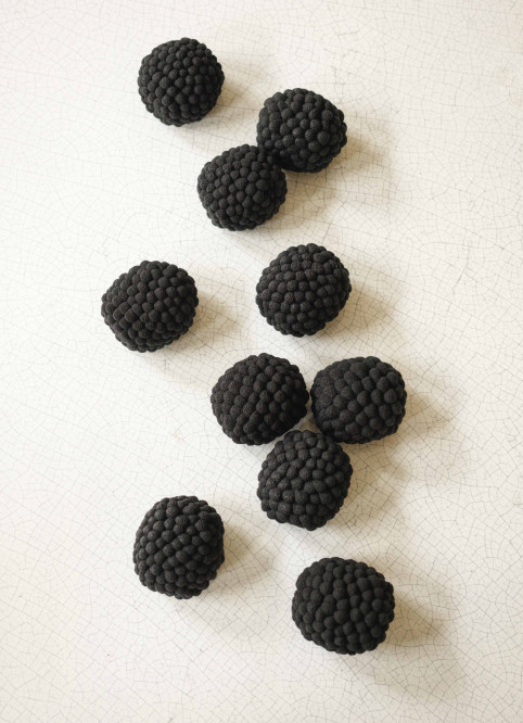 Mûre Origan