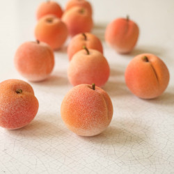 Apricot Rosemary