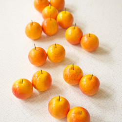 Mirabelle  plum