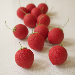 Fraise Mélisse