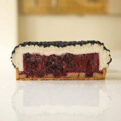 Blackberry Tart XXL