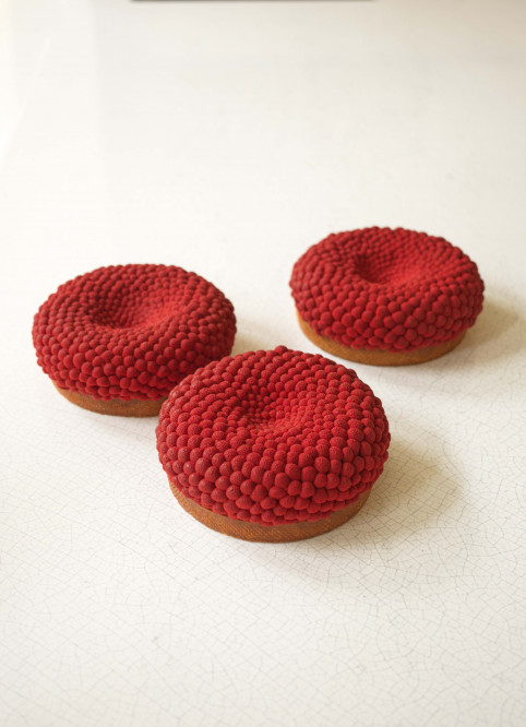 Raspberry Tart XXL
