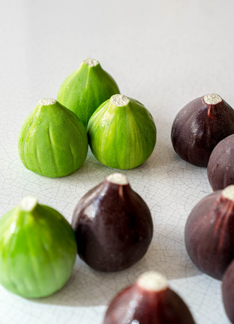 Fig