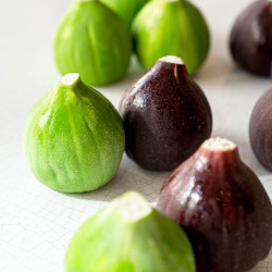 Fig
