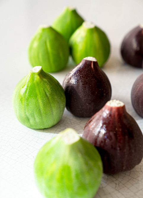 Fig