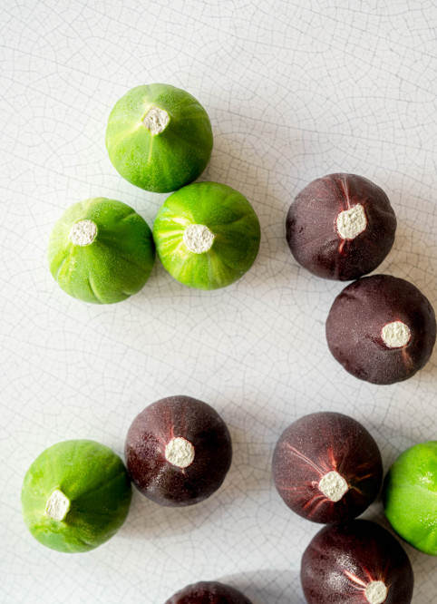 Fig