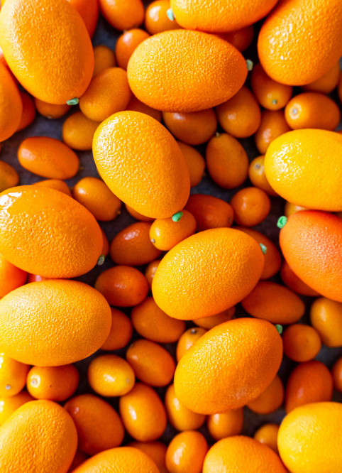 Kumquat