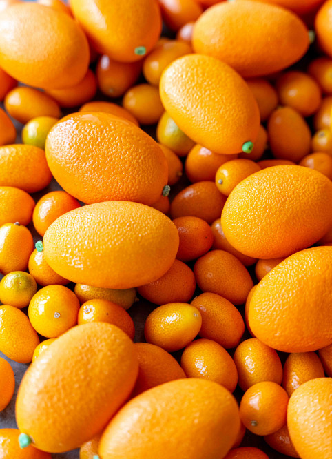 Kumquat
