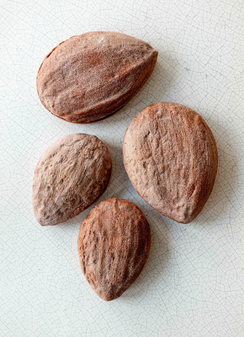 Almond Tart