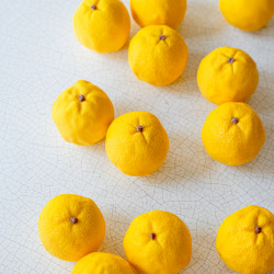 Yuzu