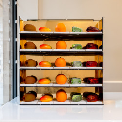 Collection 5 Fruits