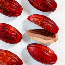 Cocoa Pod