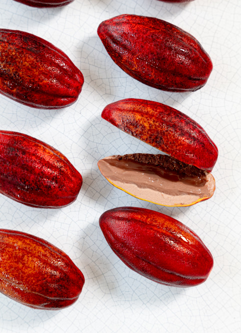 Cocoa Pod