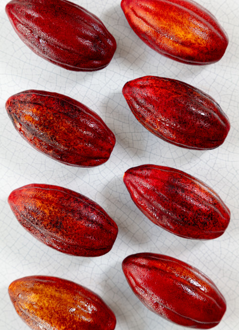 Cocoa Pod