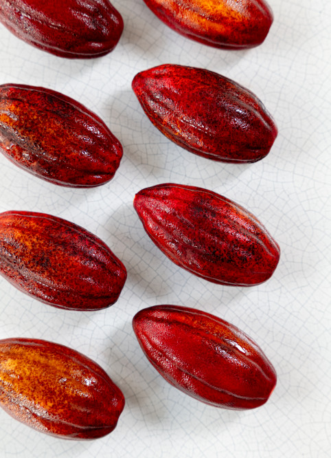 Cocoa Pod