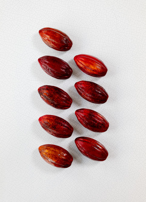 Cocoa Pod